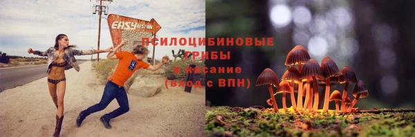 стаф Иннополис