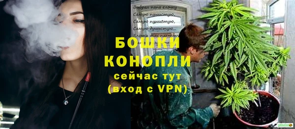 стаф Иннополис