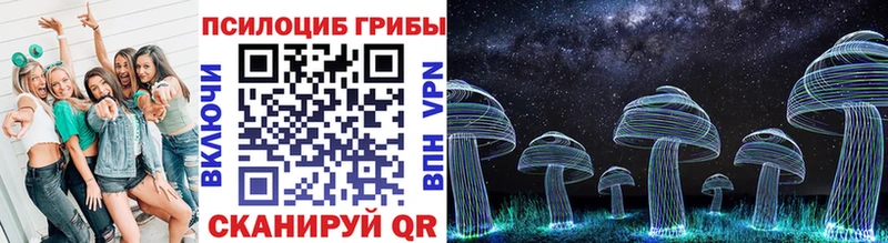 Купить где  Гусь-Хрустальный  Галлюциногенные грибы Psilocybine cubensis 